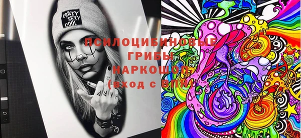 амф Покачи