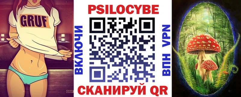 дарнет шоп  Шахты  Псилоцибиновые грибы Psilocybe 